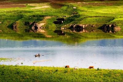 【动态】边境旅游特色 ▏临江市打造新的经济增长点